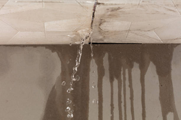 Professional Structural Drying technician working in Howell, MI